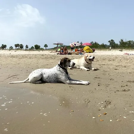 Studio_suite05 * 阿尔巴·阿德里亚蒂卡